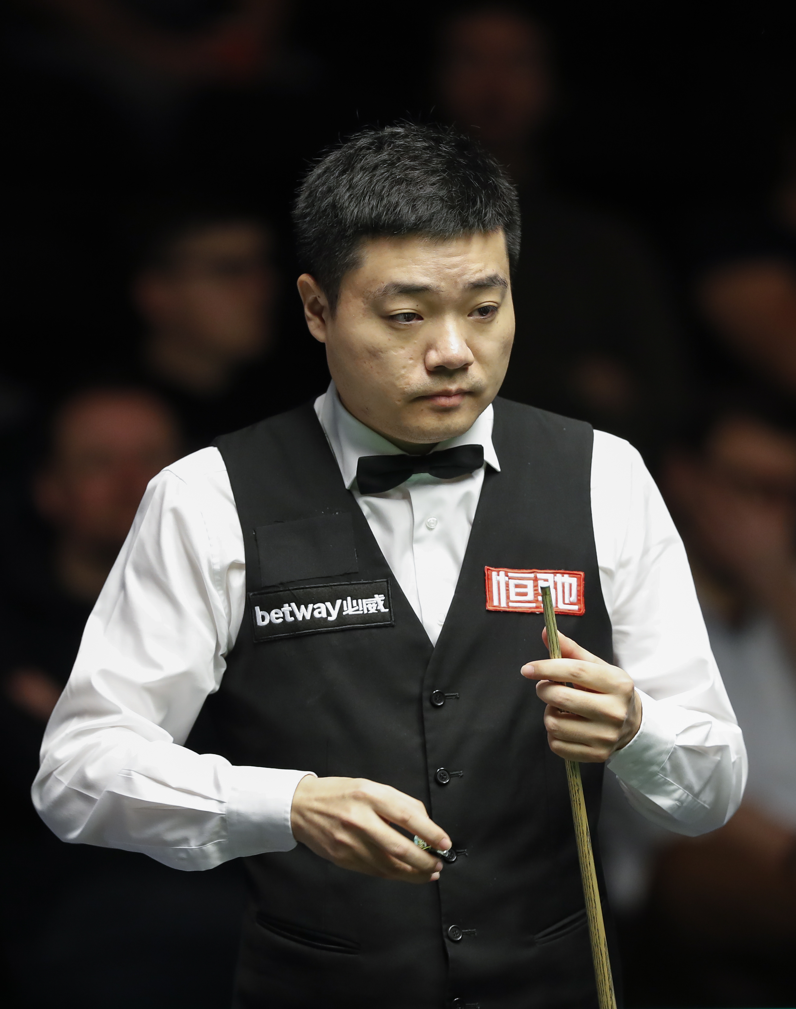 在勇士的战 在勇士的战