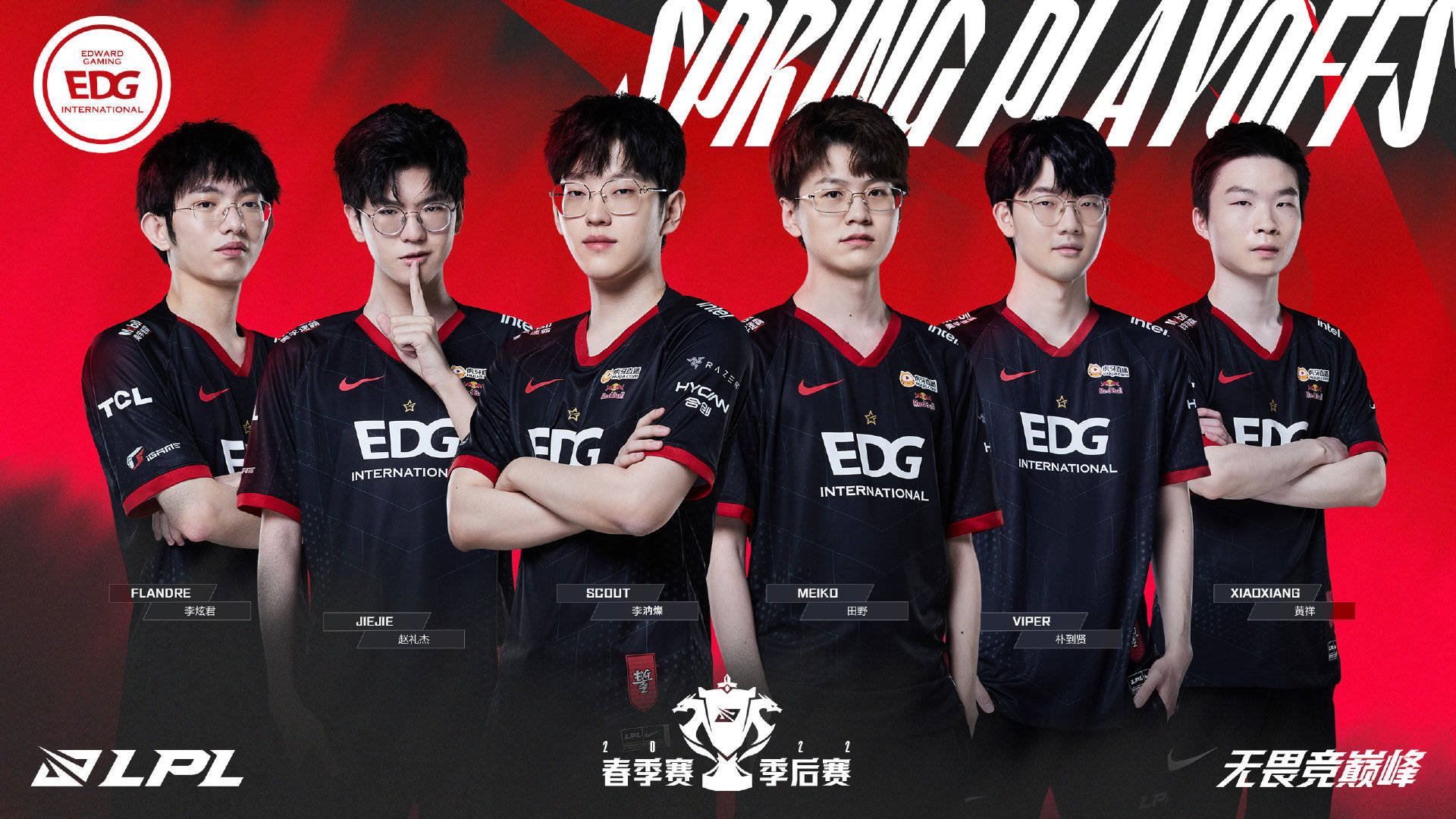 从加蒂案例 从加蒂案例