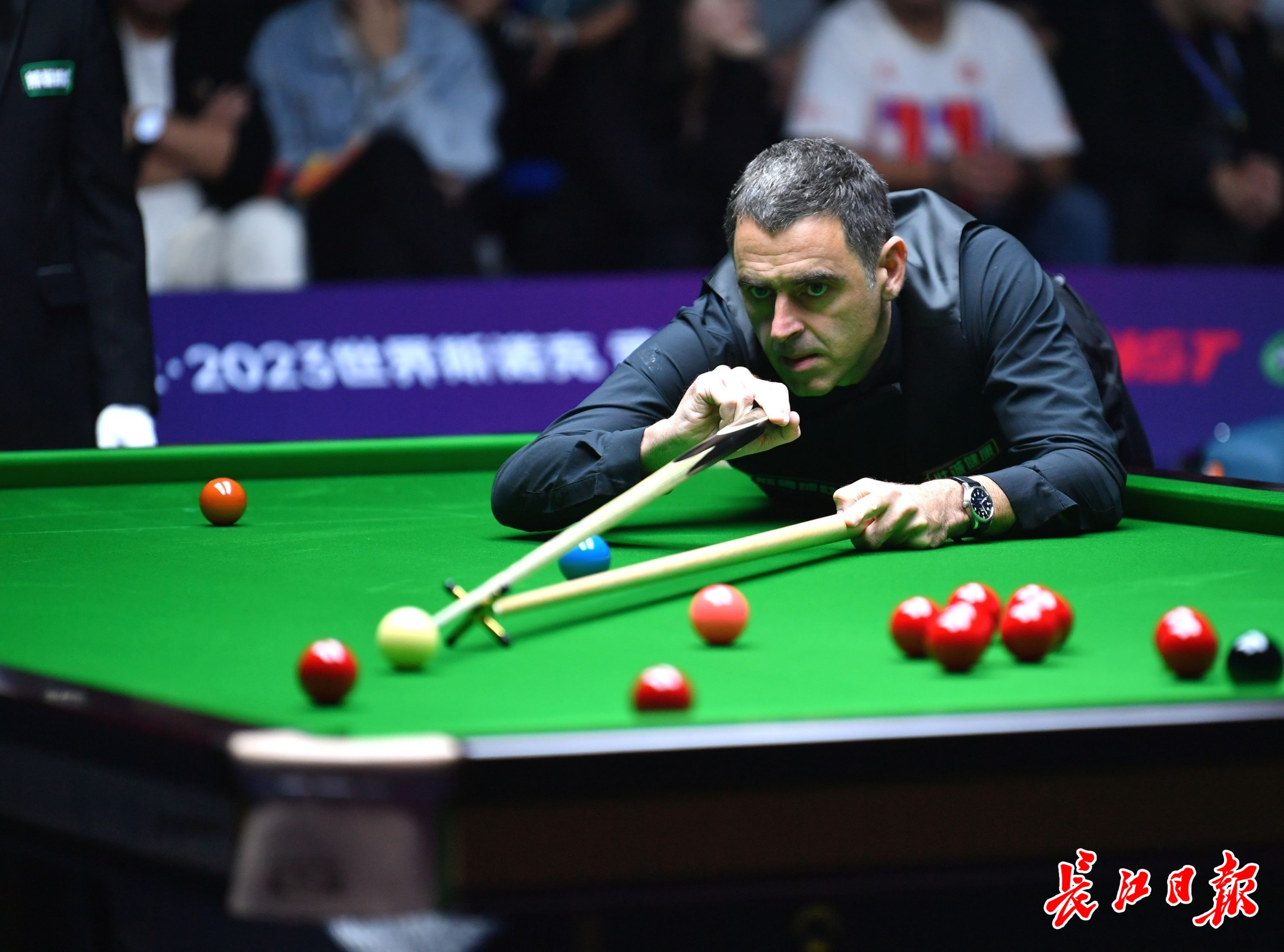 建议路径 建议路径